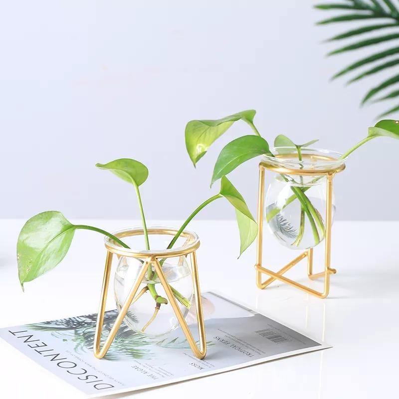 Glass Propagation Vase with Geometric Iron Stand