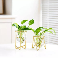 Glass Propagation Vase with Geometric Iron Stand