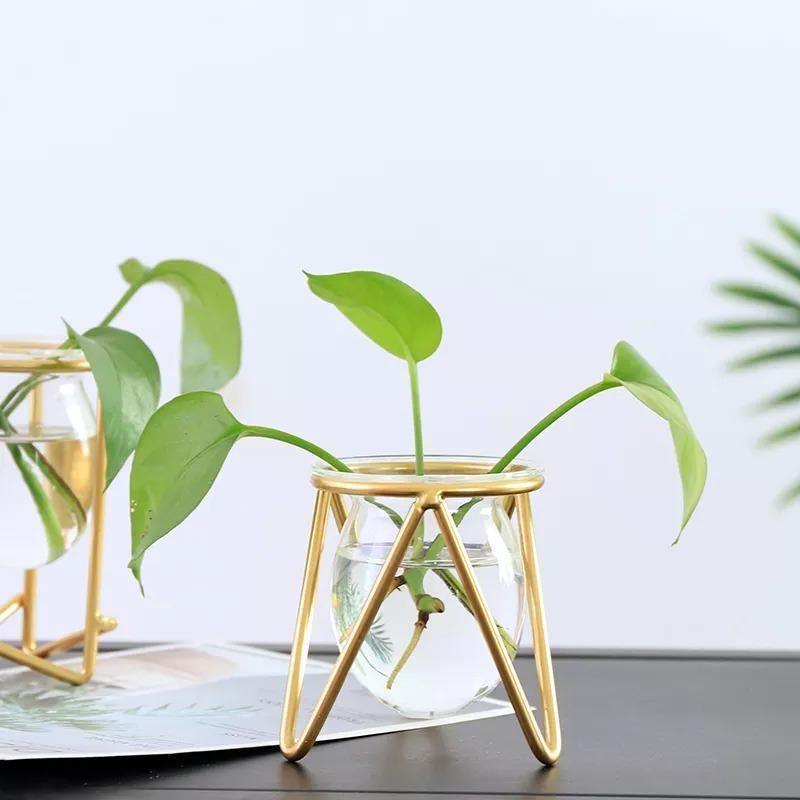 Glass Propagation Vase with Geometric Iron Stand