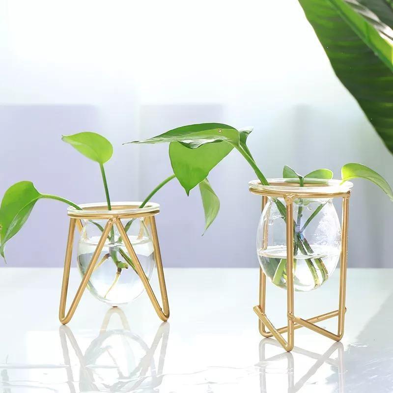 Glass Propagation Vase with Geometric Iron Stand