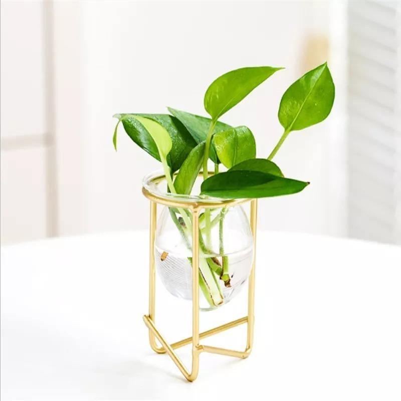 Glass Propagation Vase with Geometric Iron Stand